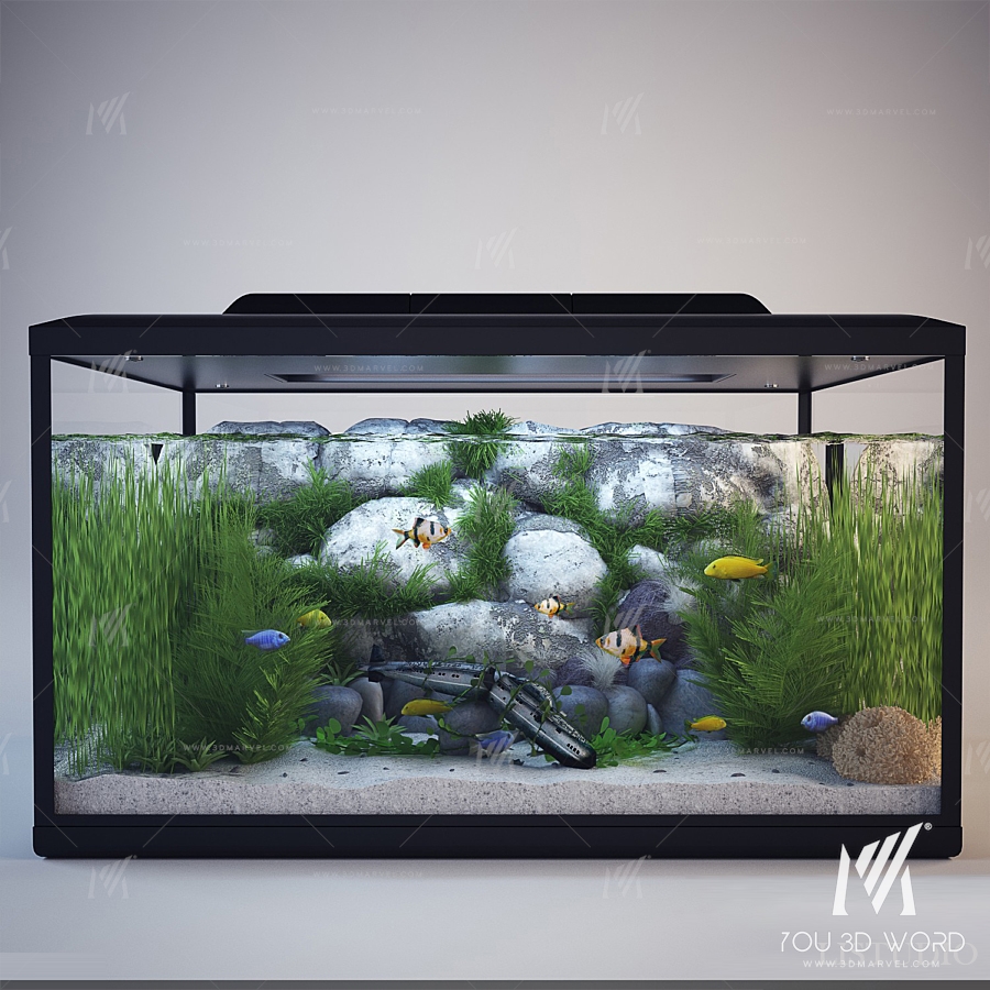 Aquarium